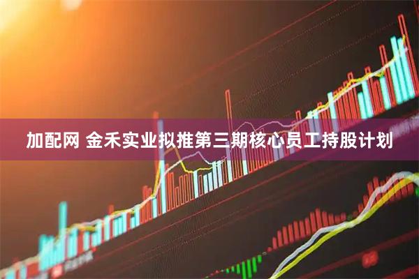 加配网 金禾实业拟推第三期核心员工持股计划