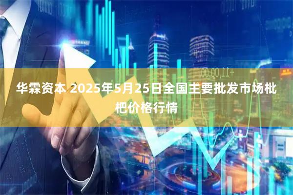 华霖资本 2025年5月25日全国主要批发市场枇杷价格行情