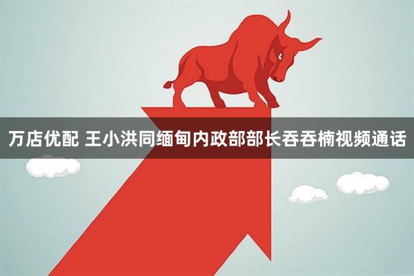 万店优配 王小洪同缅甸内政部部长吞吞楠视频通话