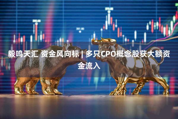 毅鸣天汇 资金风向标 | 多只CPO概念股获大额资金流入