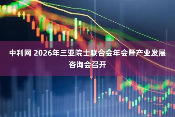 中利网 2026年三亚院士联合会年会暨产业发展咨询会召开