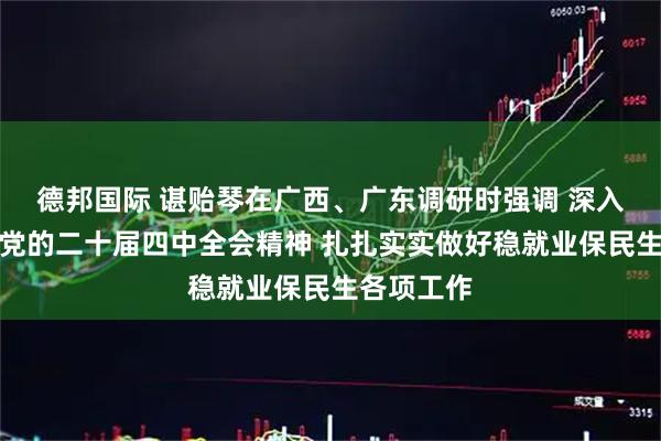 德邦国际 谌贻琴在广西、广东调研时强调 深入学习贯彻党的二十届四中全会精神 扎扎实实做好稳就业保民生各项工作