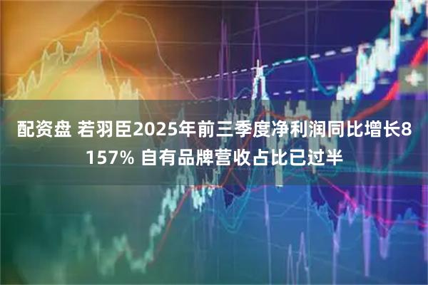 配资盘 若羽臣2025年前三季度净利润同比增长8157% 自有品牌营收占比已过半